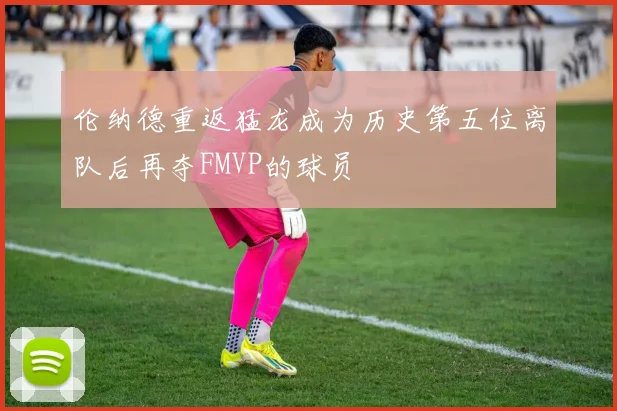 伦纳德重返猛龙成为历史第五位离队后再夺FMVP的球员