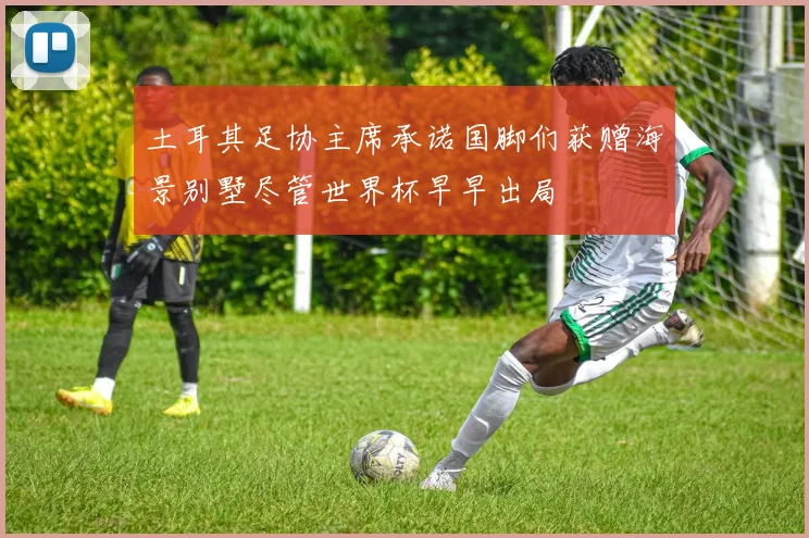 土耳其足协主席承诺国脚们获赠海景别墅尽管世界杯早早出局
