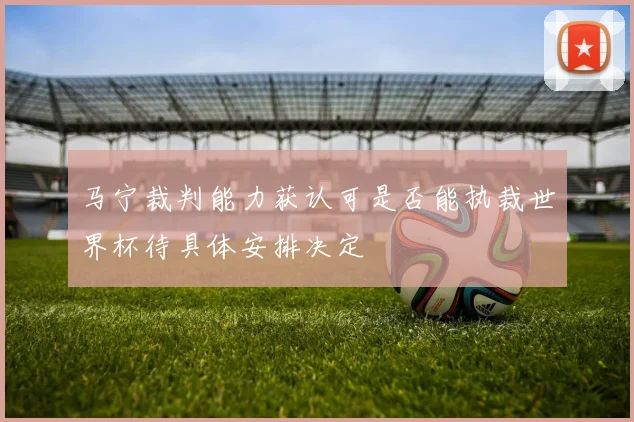 马宁裁判能力获认可是否能执裁世界杯待具体安排决定